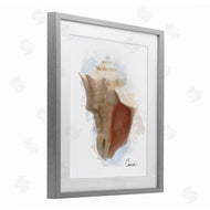 Matthew Piotrowicz | Honeybloom Coastal Conch