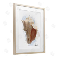 Matthew Piotrowicz | Honeybloom Coastal Conch