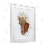 Matthew Piotrowicz | Honeybloom Coastal Conch