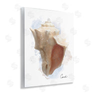 Matthew Piotrowicz | Honeybloom Coastal Conch