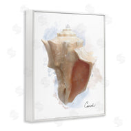 Matthew Piotrowicz | Honeybloom Coastal Conch