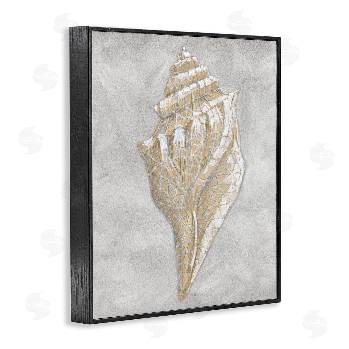 Patti Bishop Grey Conch Drawing Canvas Wall Art Print