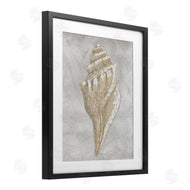 Patti Bishop | Grey Conch Drawing