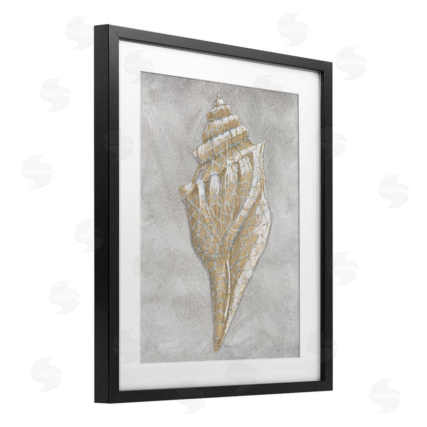 Patti Bishop | Grey Conch Drawing