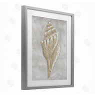 Patti Bishop | Grey Conch Drawing