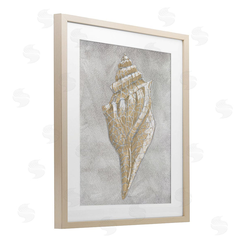 Patti Bishop | Grey Conch Drawing