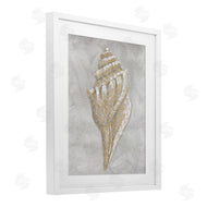 Patti Bishop | Grey Conch Drawing