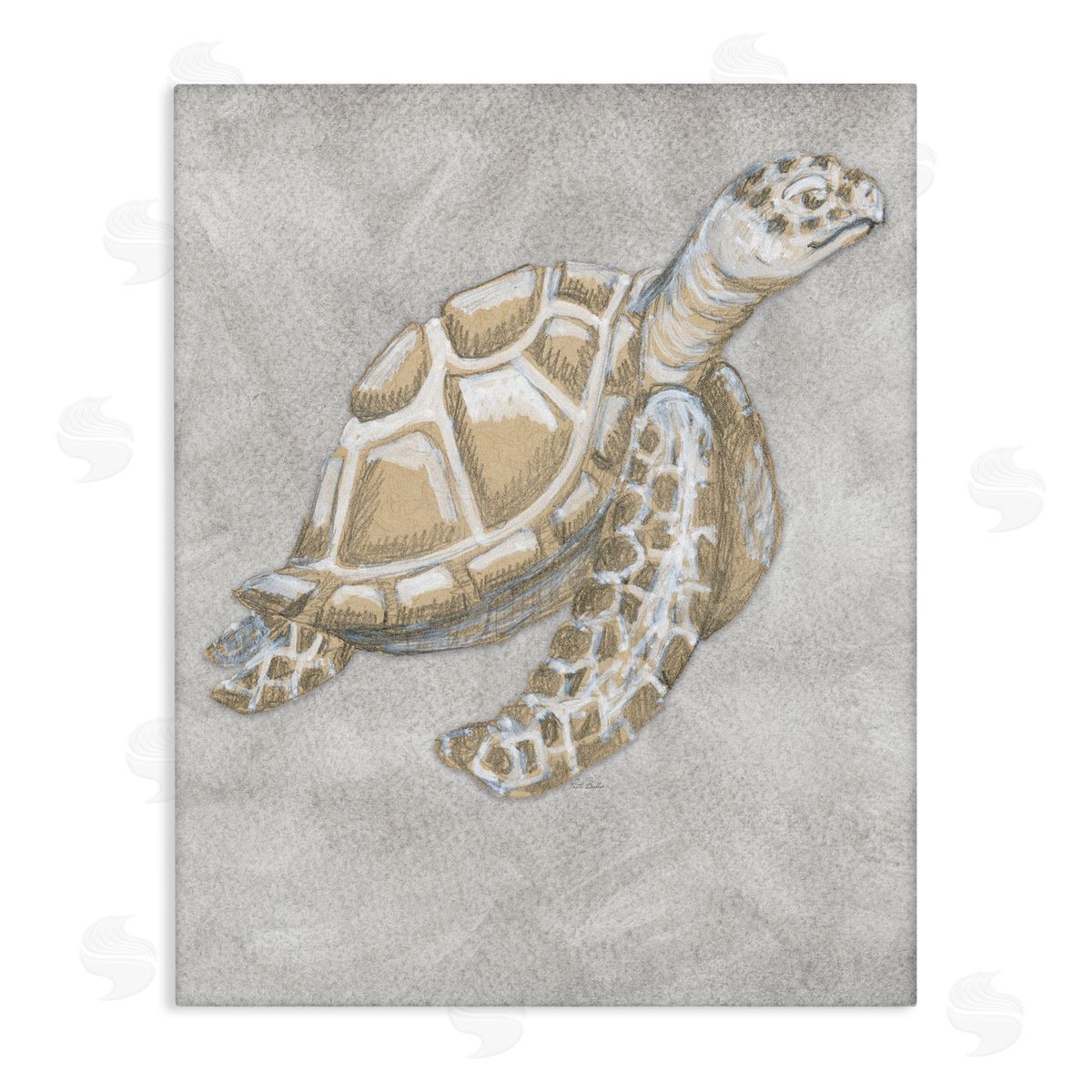 Patti Bishop Grey Turtle Drawing Canvas Wall Art Print