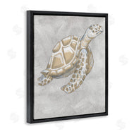 Patti Bishop | Grey Turtle Drawing