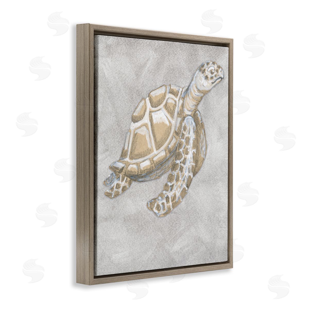 Patti Bishop Grey Turtle Drawing Canvas Wall Art Print