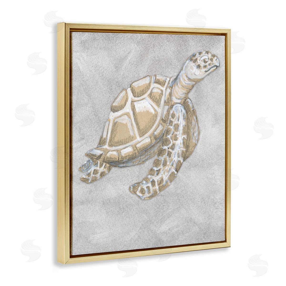 Patti Bishop Grey Turtle Drawing Canvas Wall Art Print