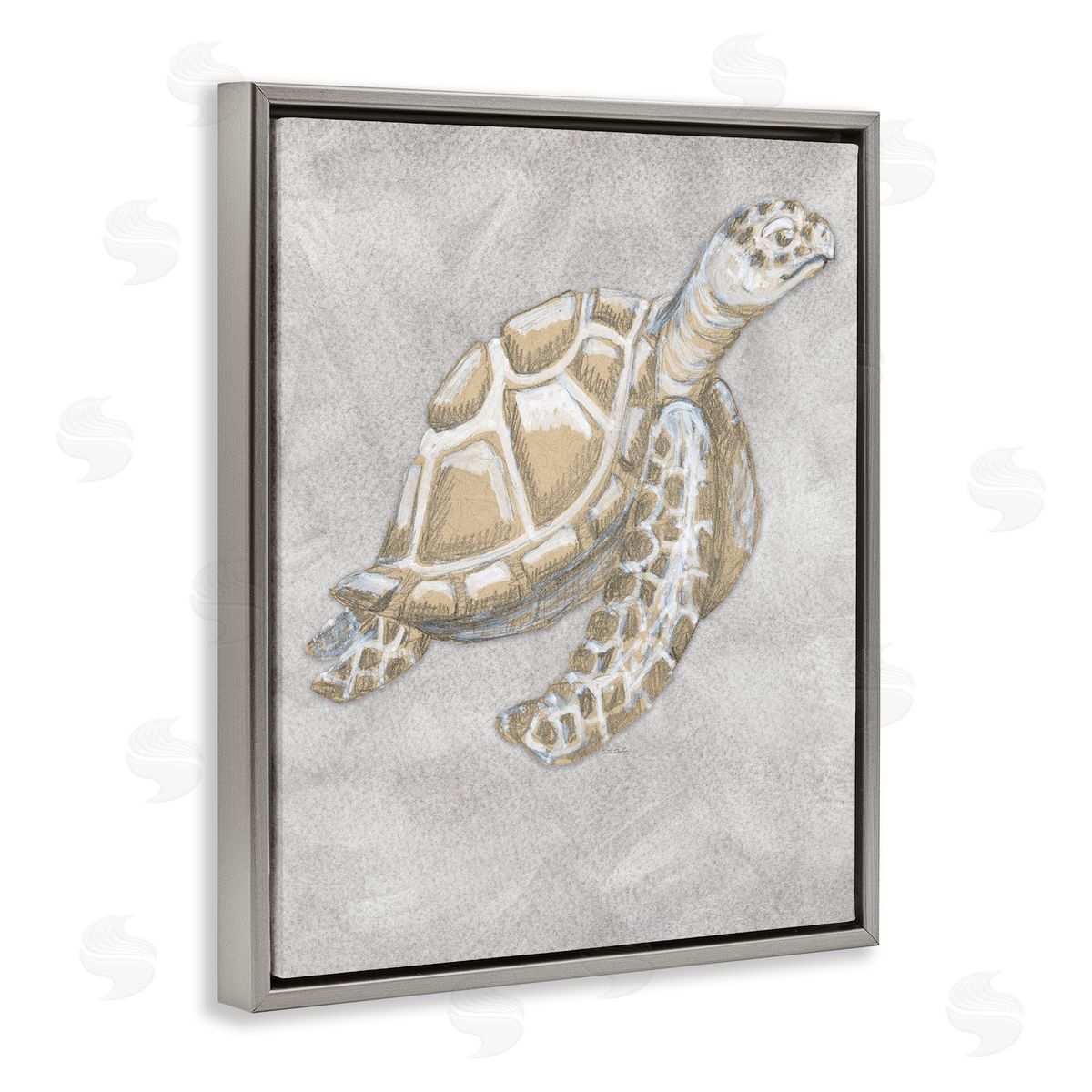 Patti Bishop Grey Turtle Drawing Canvas Wall Art Print
