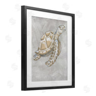 Patti Bishop | Grey Turtle Drawing
