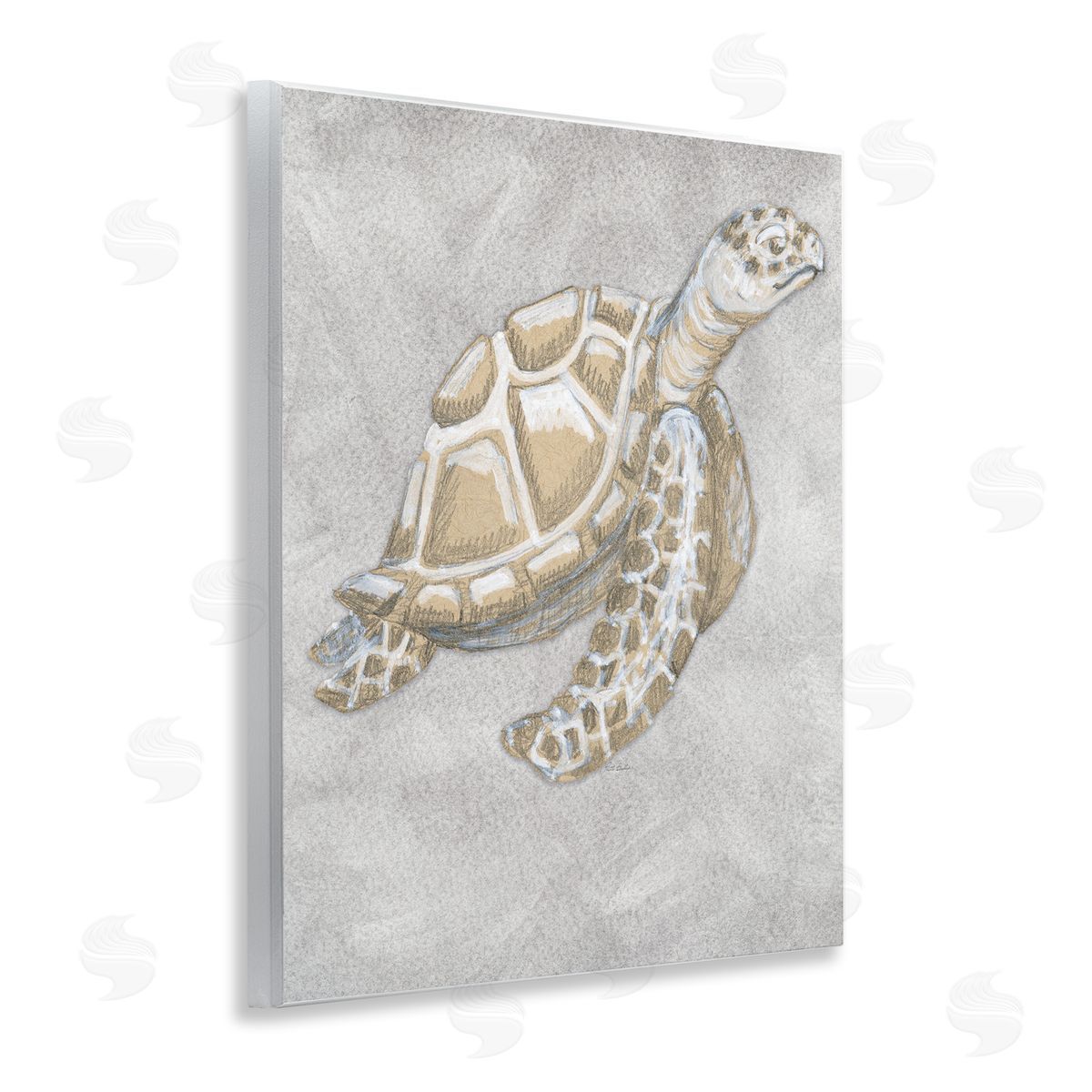 Patti Bishop Grey Turtle Drawing Canvas Wall Art Print