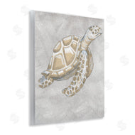Patti Bishop | Grey Turtle Drawing