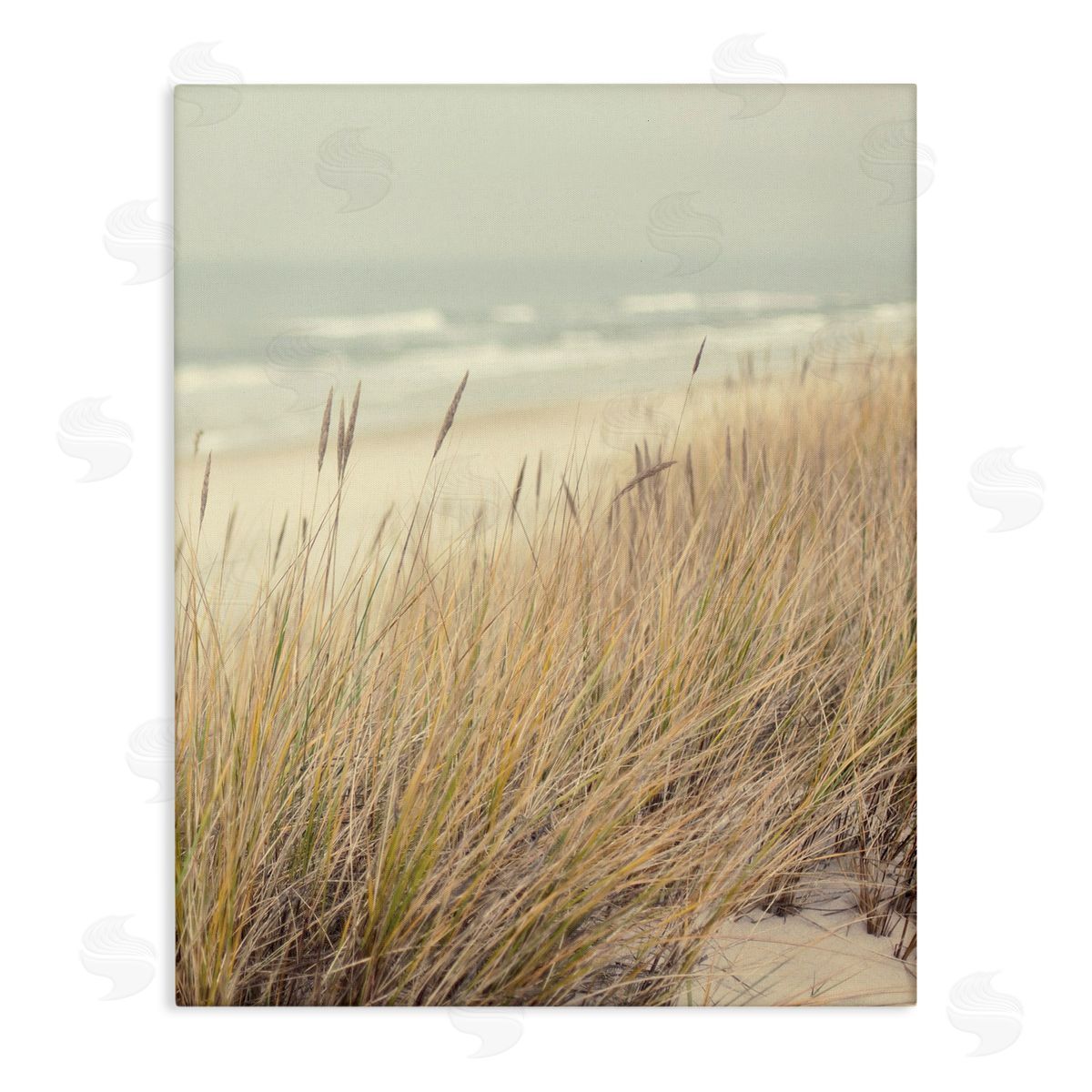 Marcus Prime Beach Dreams Sea Grass Canvas Wall Art Print