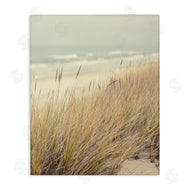 Marcus Prime | Beach Dreams Sea Grass