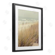 Marcus Prime | Beach Dreams Sea Grass
