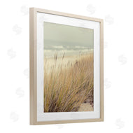 Marcus Prime | Beach Dreams Sea Grass