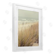 Marcus Prime | Beach Dreams Sea Grass