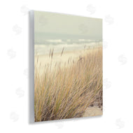 Marcus Prime | Beach Dreams Sea Grass
