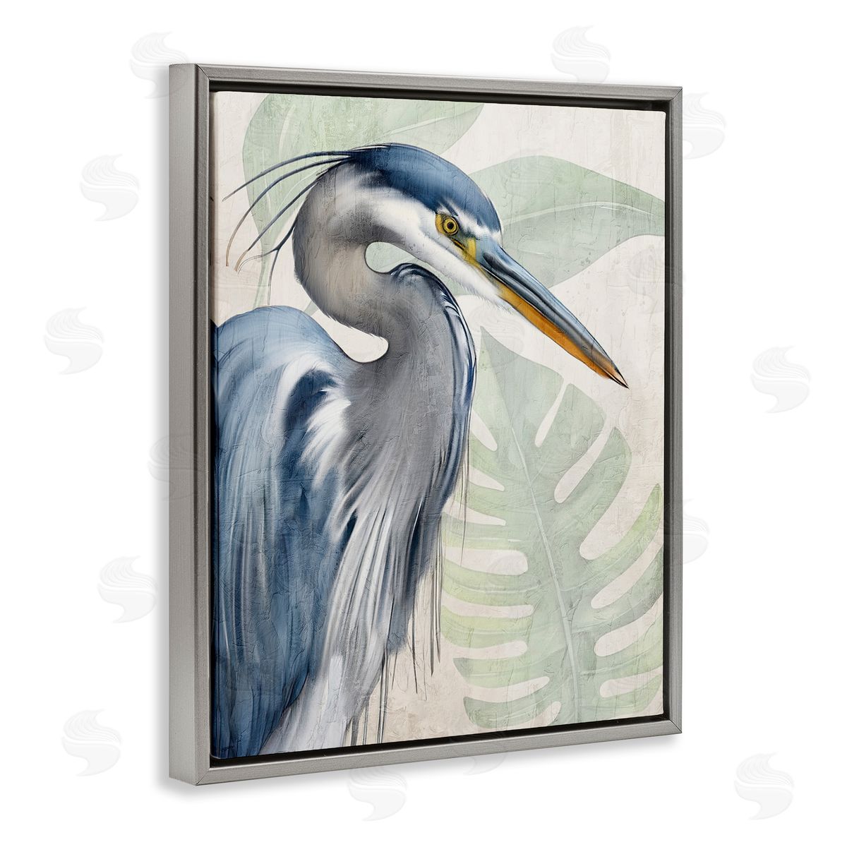 Kim Allen | Heron Palms Bird Portrait