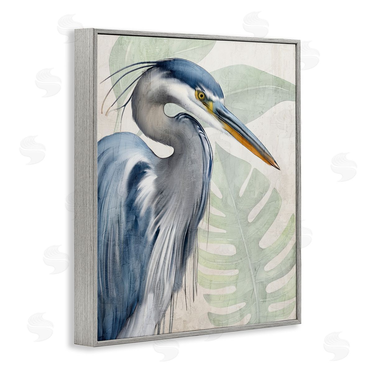 Kim Allen | Heron Palms Bird Portrait