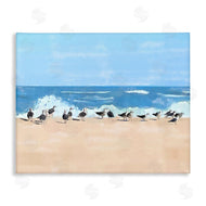 Jeff Pica | Sunny Beach Day Birds