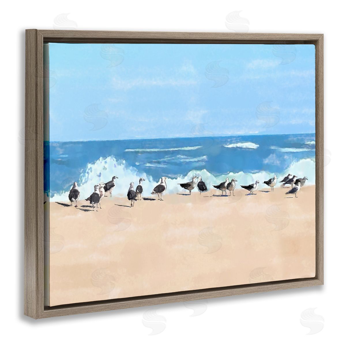 Jeff Pica | Sunny Beach Day Birds
