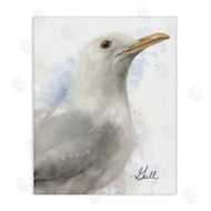 Matthew Piotrowicz | Coastal Seagull Portrait