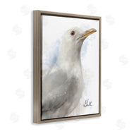 Matthew Piotrowicz | Coastal Seagull Portrait