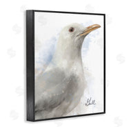 Matthew Piotrowicz | Coastal Seagull Portrait