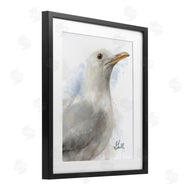 Matthew Piotrowicz | Coastal Seagull Portrait