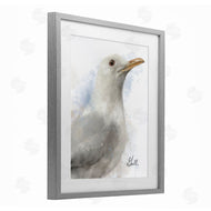 Matthew Piotrowicz | Coastal Seagull Portrait