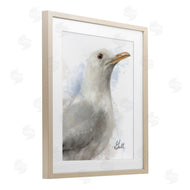 Matthew Piotrowicz | Coastal Seagull Portrait
