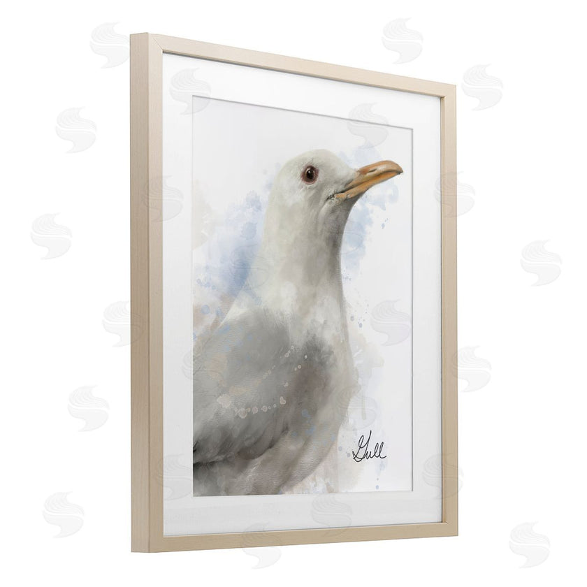 Matthew Piotrowicz | Coastal Seagull Portrait