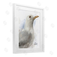 Matthew Piotrowicz | Coastal Seagull Portrait