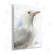 Matthew Piotrowicz | Coastal Seagull Portrait