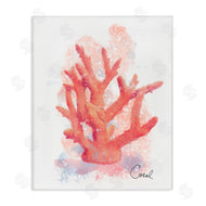 Matthew Piotrowicz | Peach Coastal Coral
