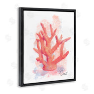 Matthew Piotrowicz | Peach Coastal Coral