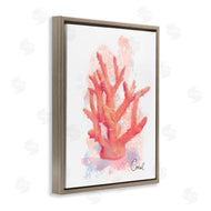 Matthew Piotrowicz | Peach Coastal Coral