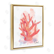 Matthew Piotrowicz | Peach Coastal Coral