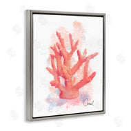 Matthew Piotrowicz | Peach Coastal Coral