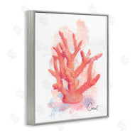 Matthew Piotrowicz | Peach Coastal Coral