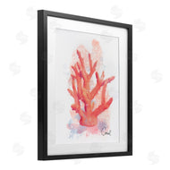 Matthew Piotrowicz | Peach Coastal Coral