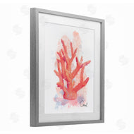 Matthew Piotrowicz | Peach Coastal Coral