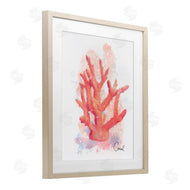 Matthew Piotrowicz | Peach Coastal Coral