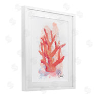 Matthew Piotrowicz | Peach Coastal Coral