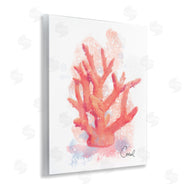 Matthew Piotrowicz | Peach Coastal Coral