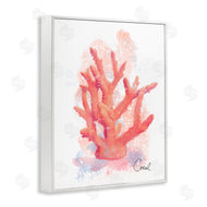 Matthew Piotrowicz | Peach Coastal Coral